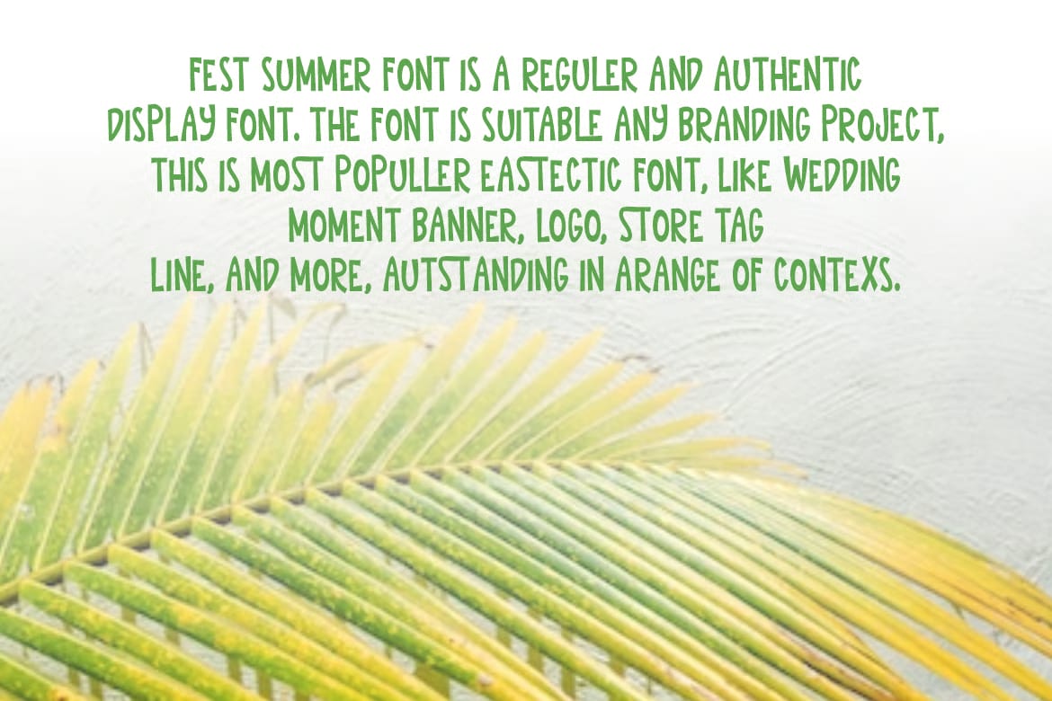 Fest Summer Free Font 4
