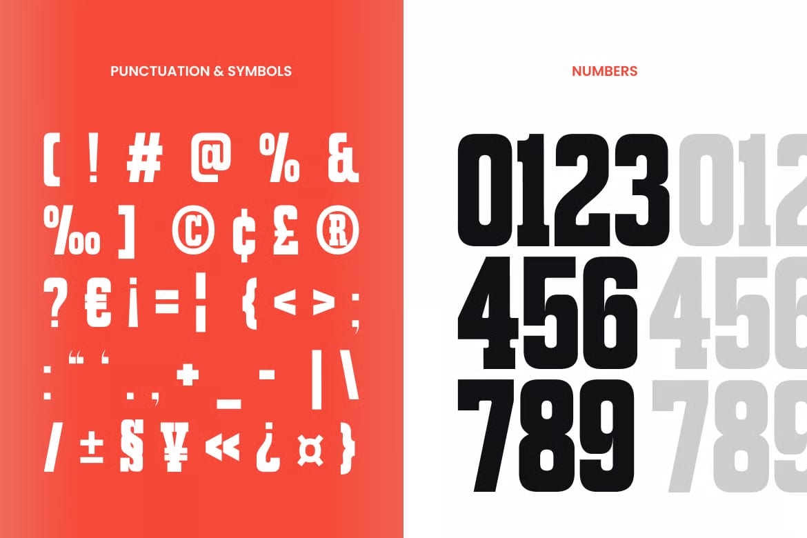 Aliqua Free Modern Display Slab Serif 8
