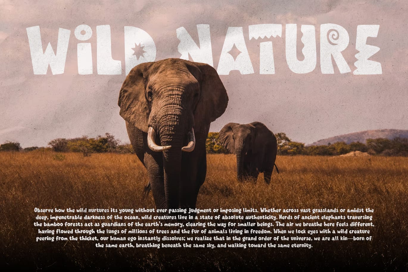Biku Socha Free Playful Quirky Display Font 6