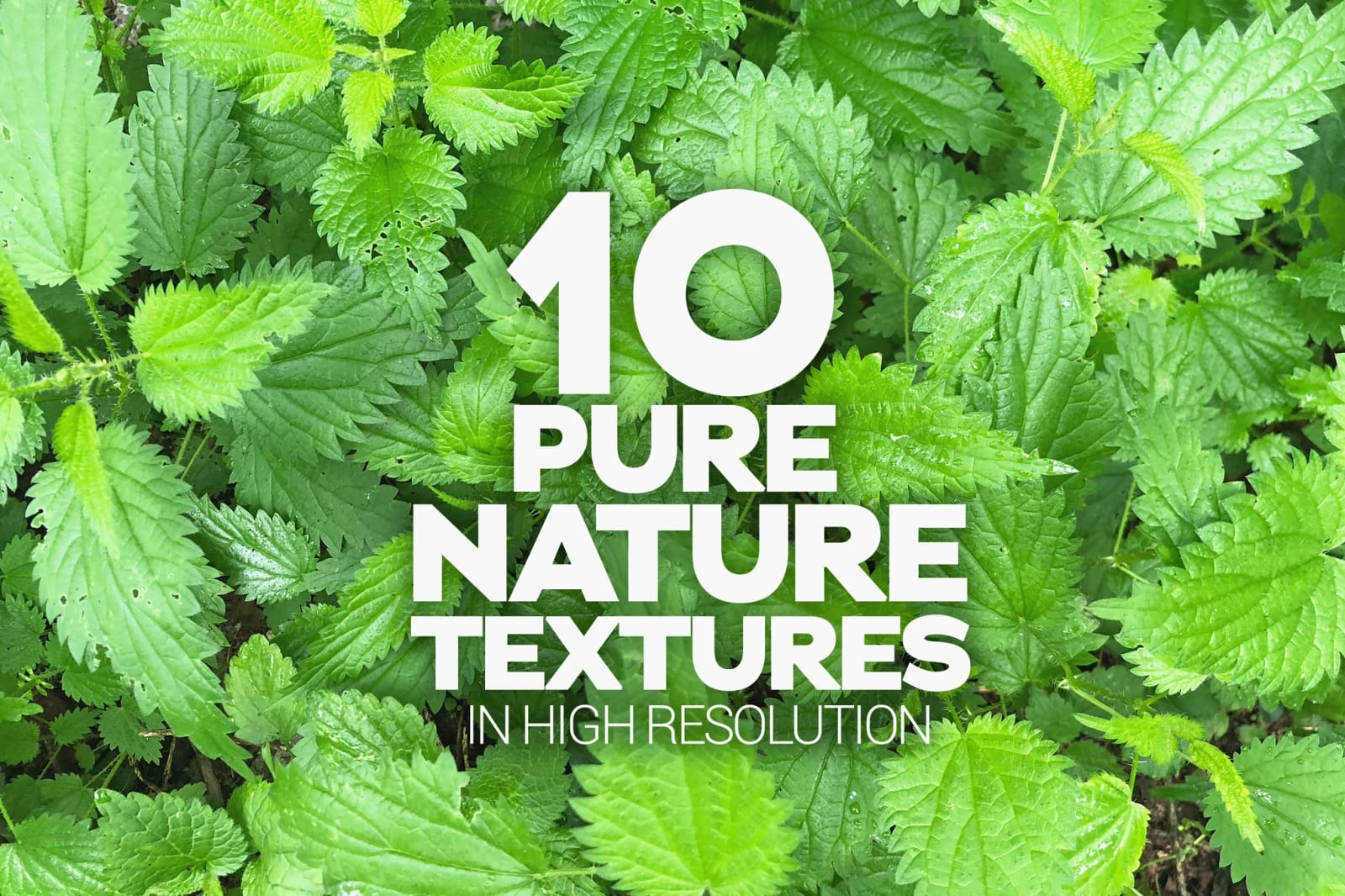 Pure Nature Free Textures x10 1