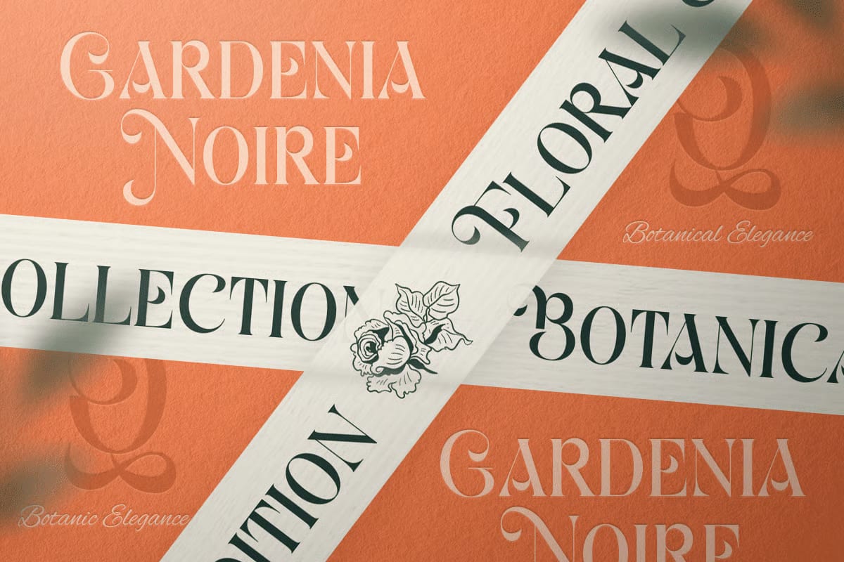 Vanela Angel Free Modern Elegant Serif Font 4