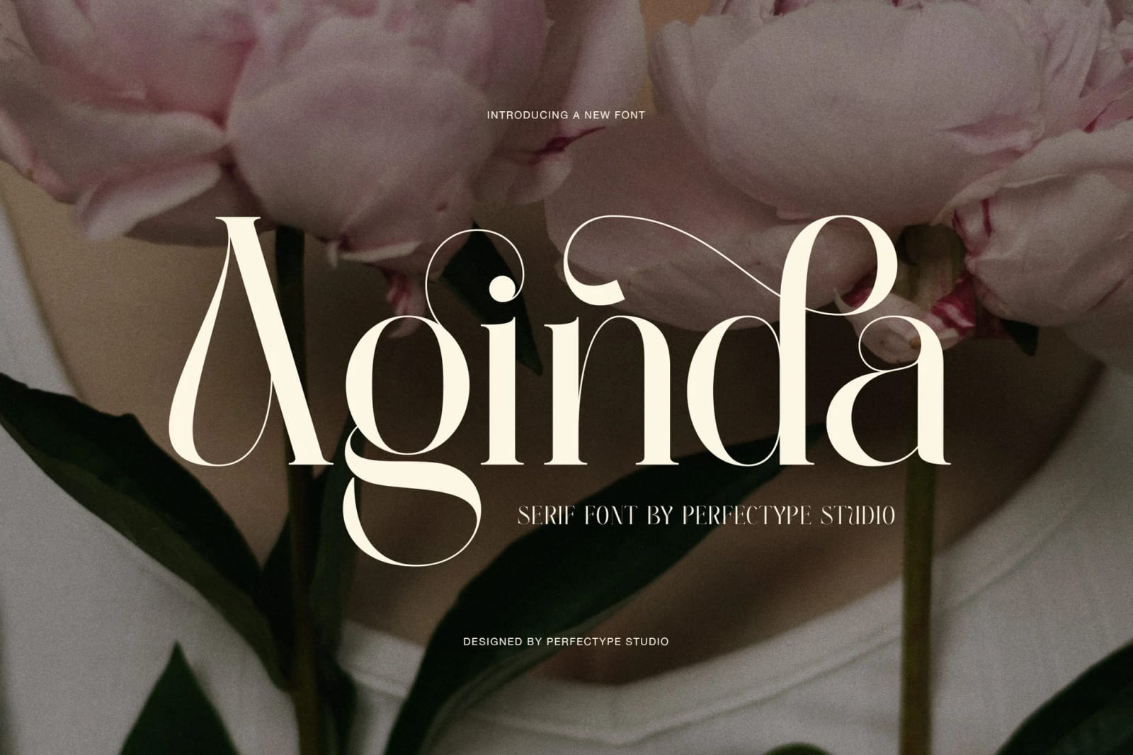 Aginda Free Elegant High Contrast Serif Font 1