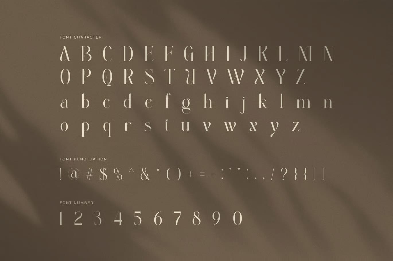 Aginda Free Elegant High Contrast Serif Font 7