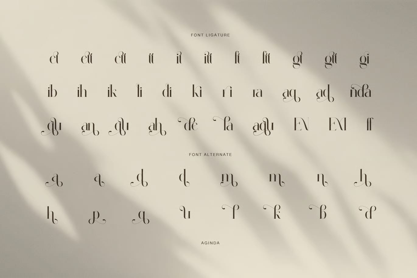 Aginda Free Elegant High Contrast Serif Font 8