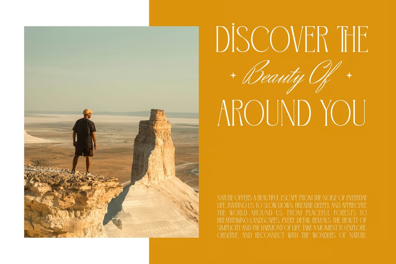 Aginers Free Elegant Serif Font 3