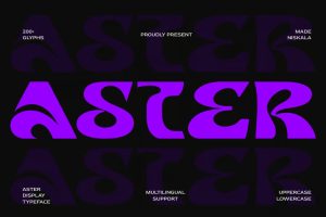 aster-free-groovy-liquid-display-typeface-1