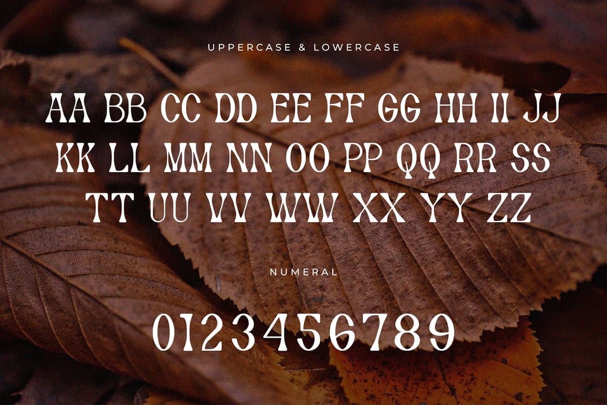 Autumn Free Modern Serif Font 4