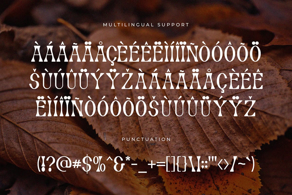 Autumn Free Modern Serif Font 5