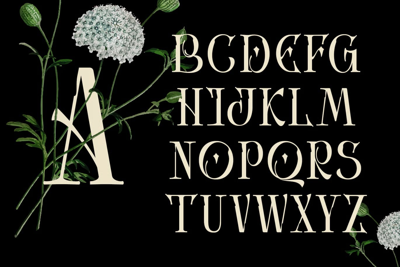 Avielo Naille Free Modern Classic Serif Font 3