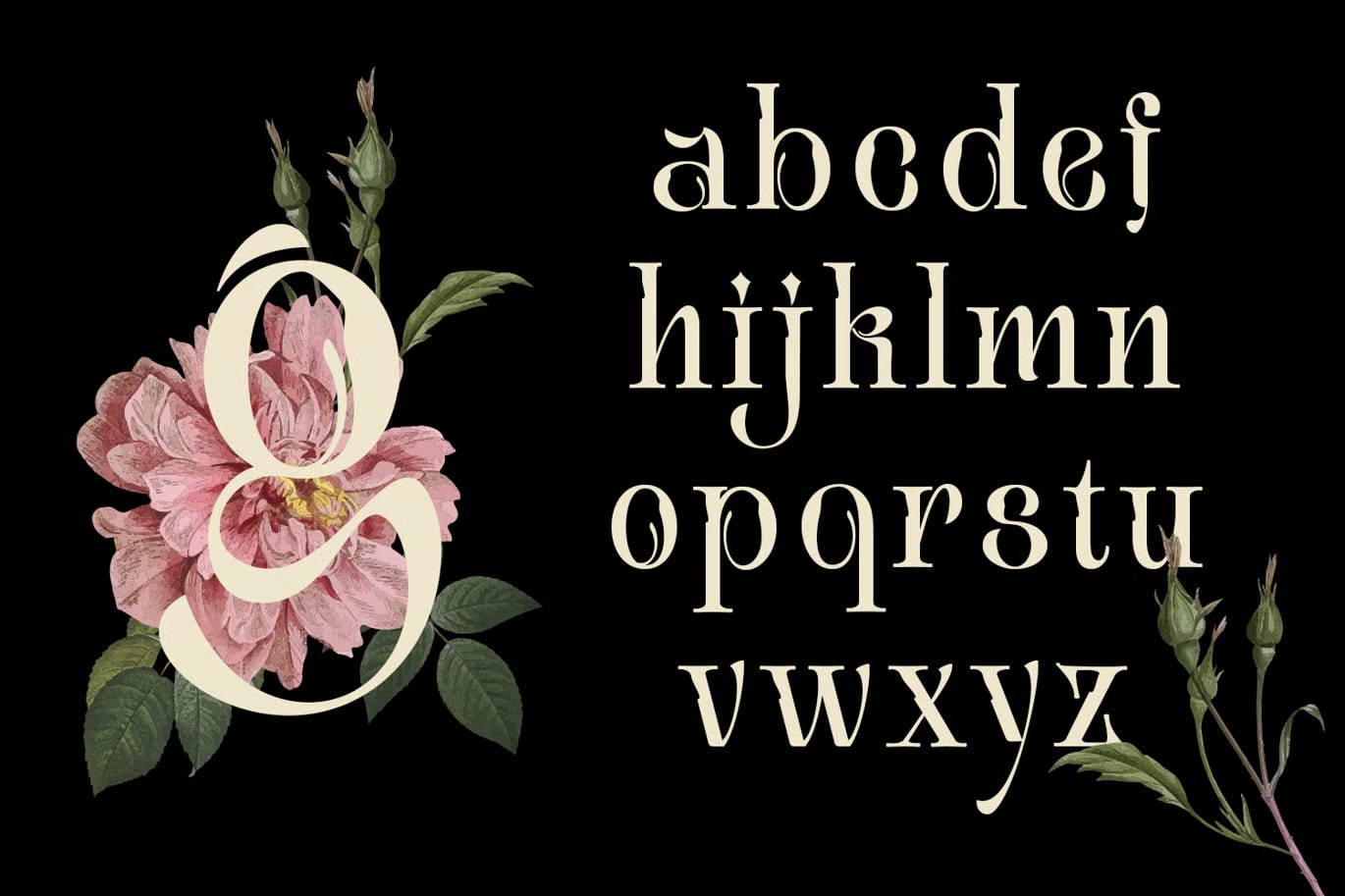 Avielo Naille Free Modern Classic Serif Font 5