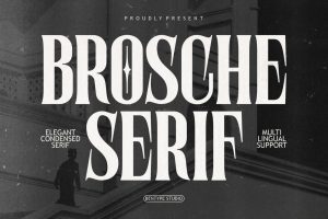 Brosche Serif - Elegant Condensed Free Font 1
