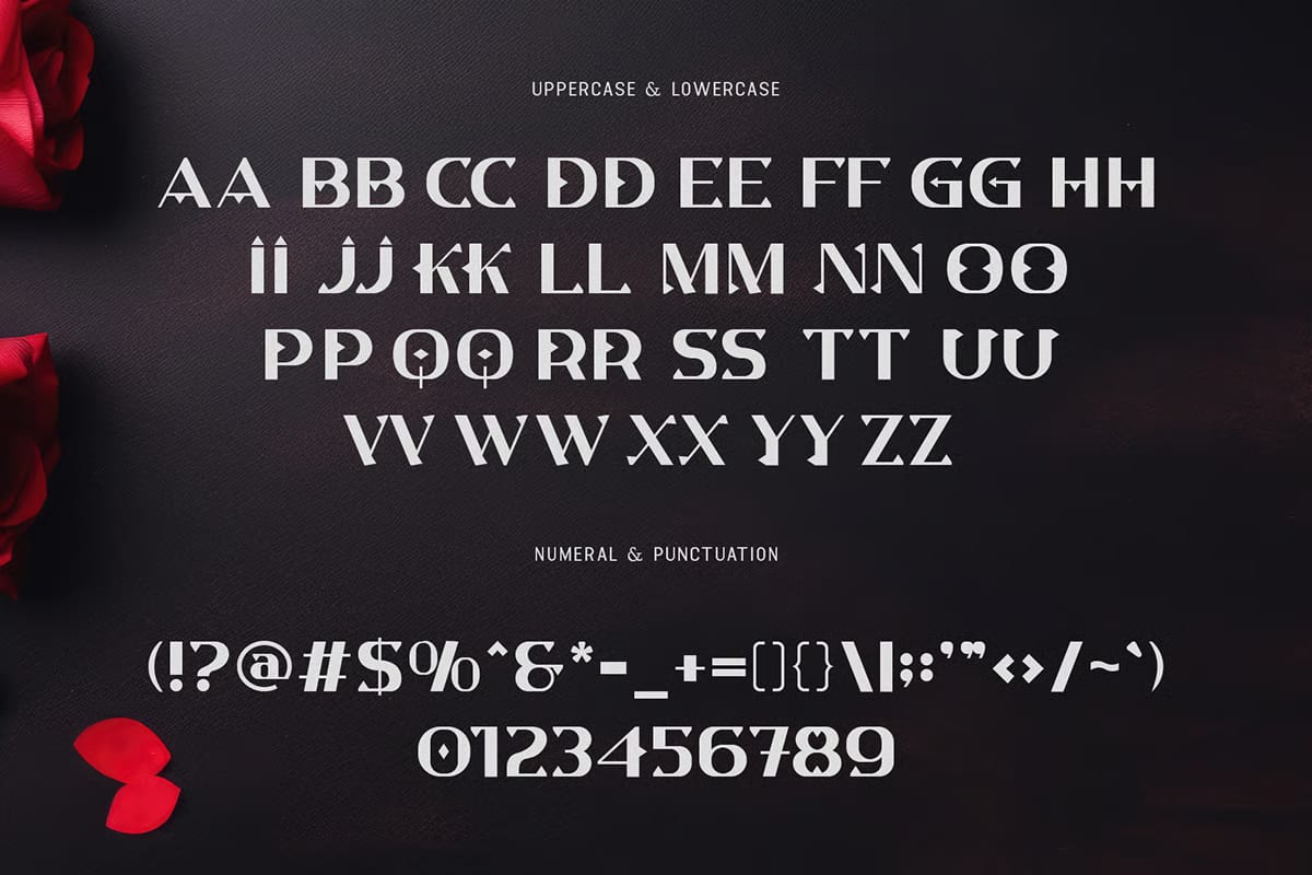 Cryptonix Free Modern Serif Display Font 5