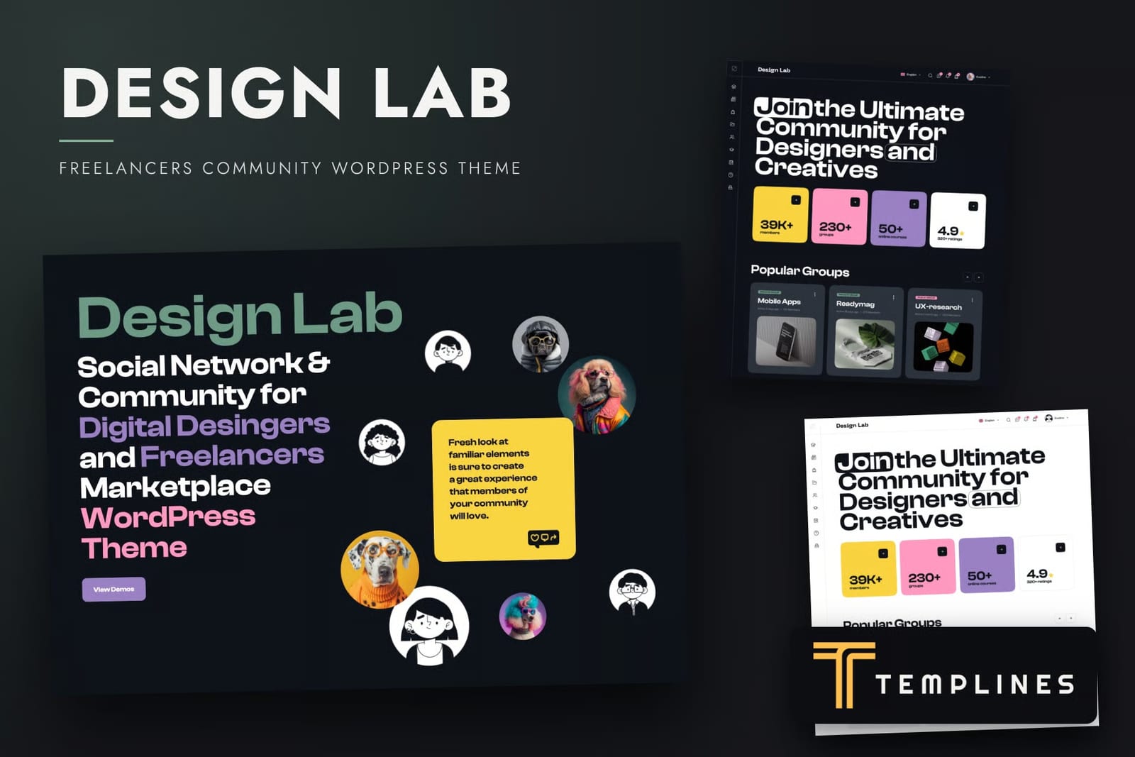 Design Lab Free Freelancers Community WordPress Theme 1