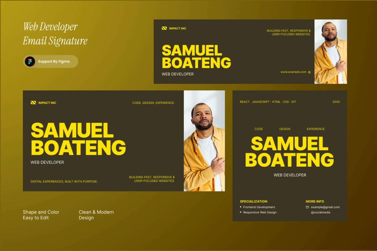 Free Web Developer Email Signature 1