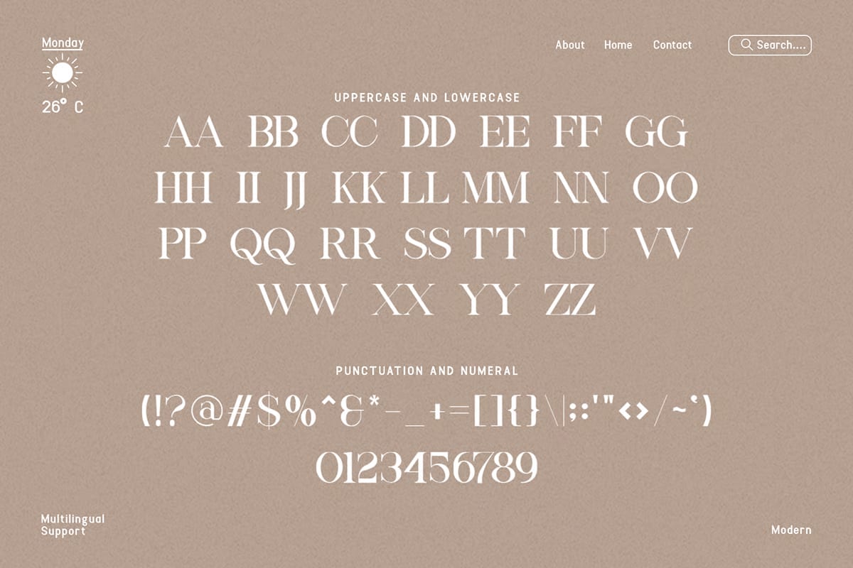 Lovely Classy Serif Free Font 4