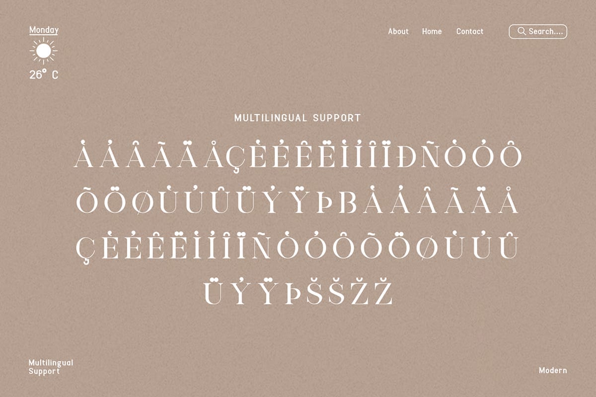 Lovely Classy Serif Free Font 5