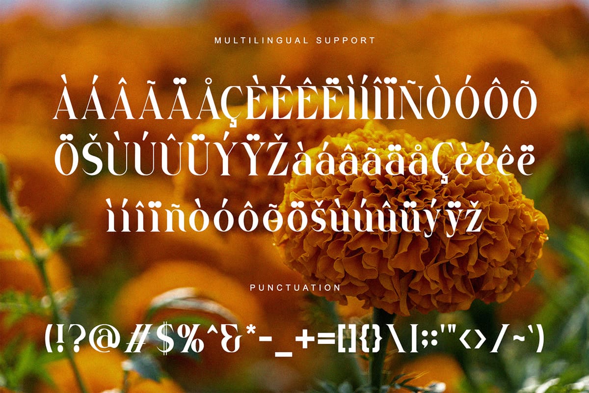 Marigold Free Serif Font 5