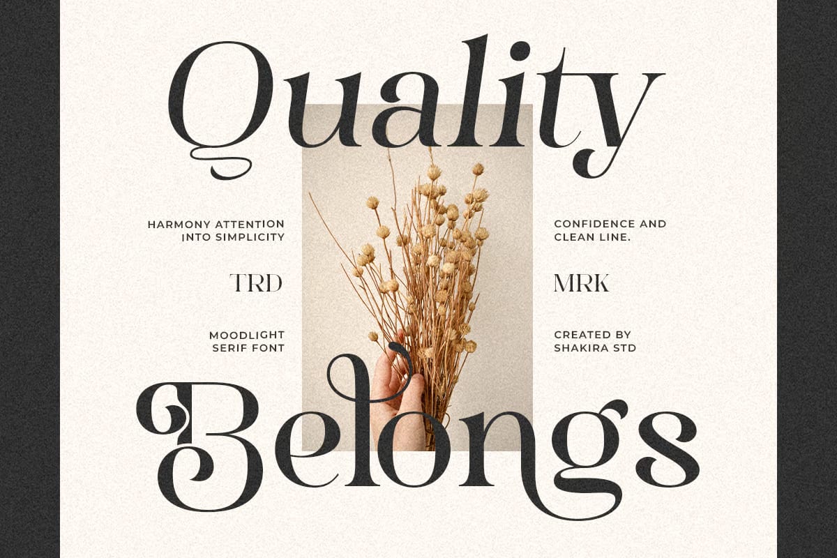 Moodlight Free Stylish Elegant Serif Branding Font 4