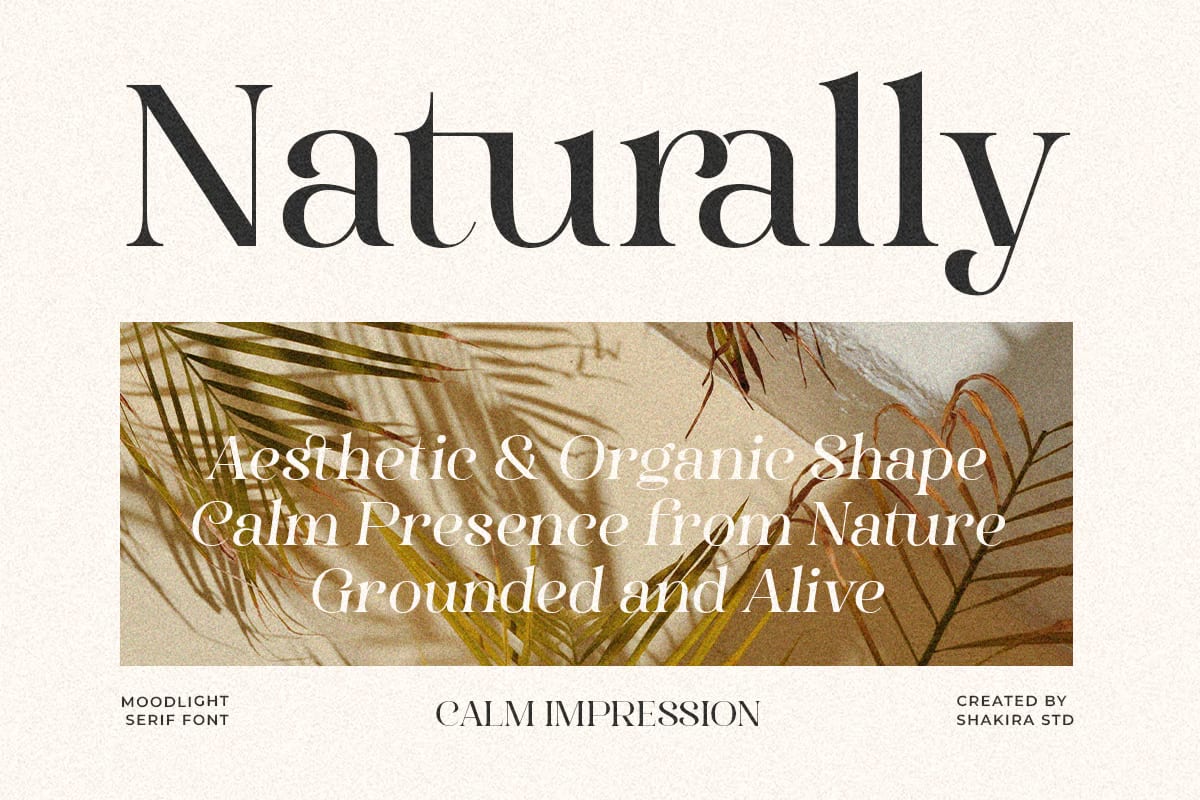 Moodlight Free Stylish Elegant Serif Branding Font 6