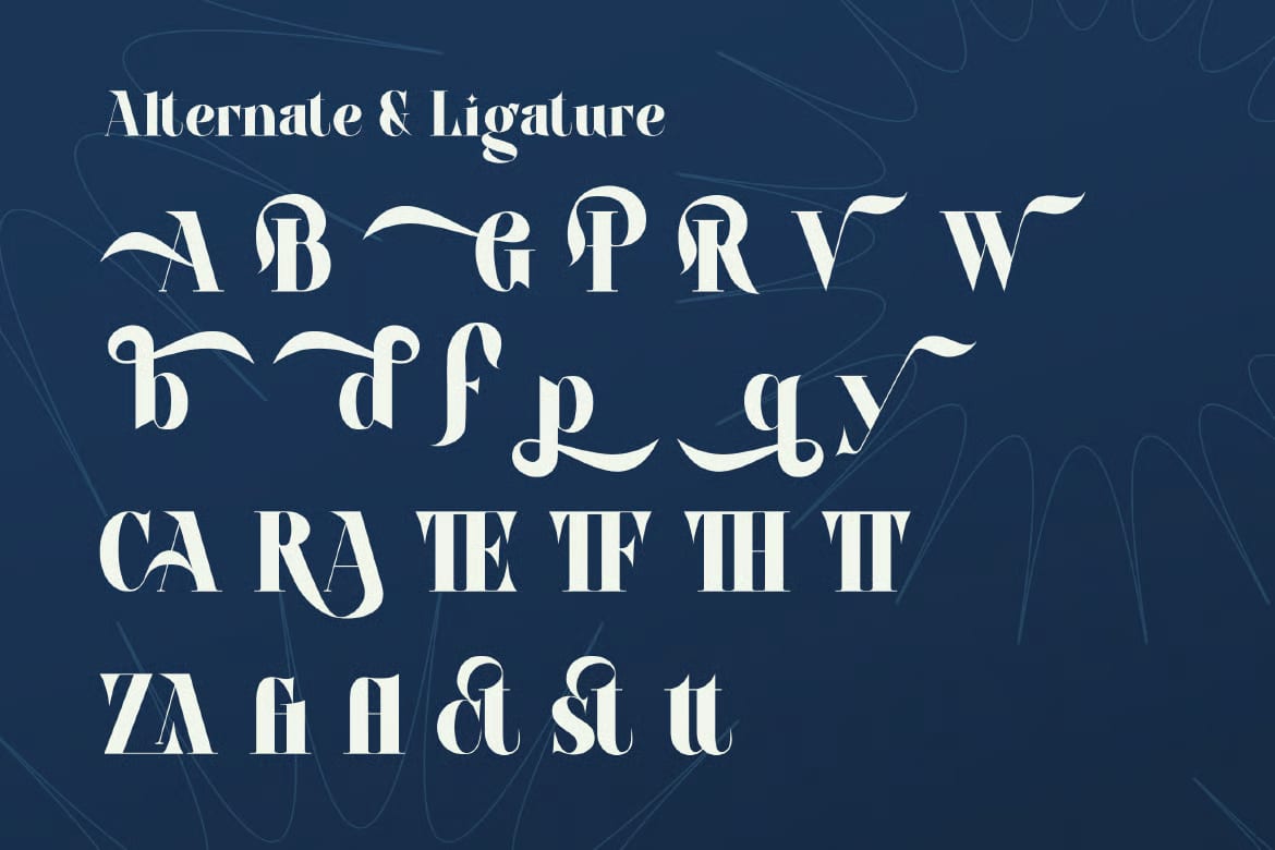 Roca Pova Free Unique Serif Display Font 5