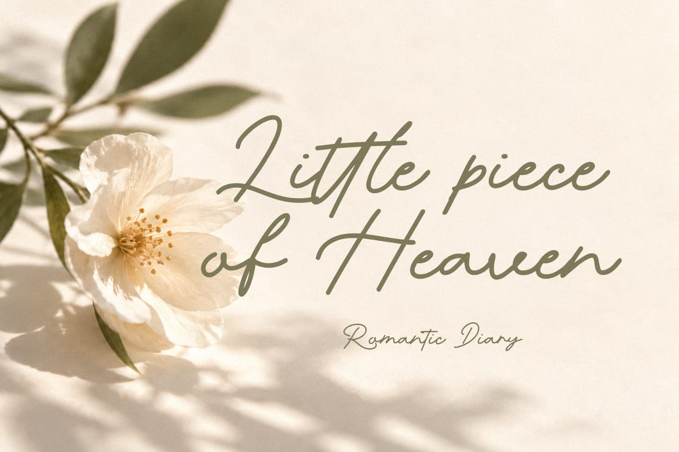 Romantic Diary Free Signature Font 3