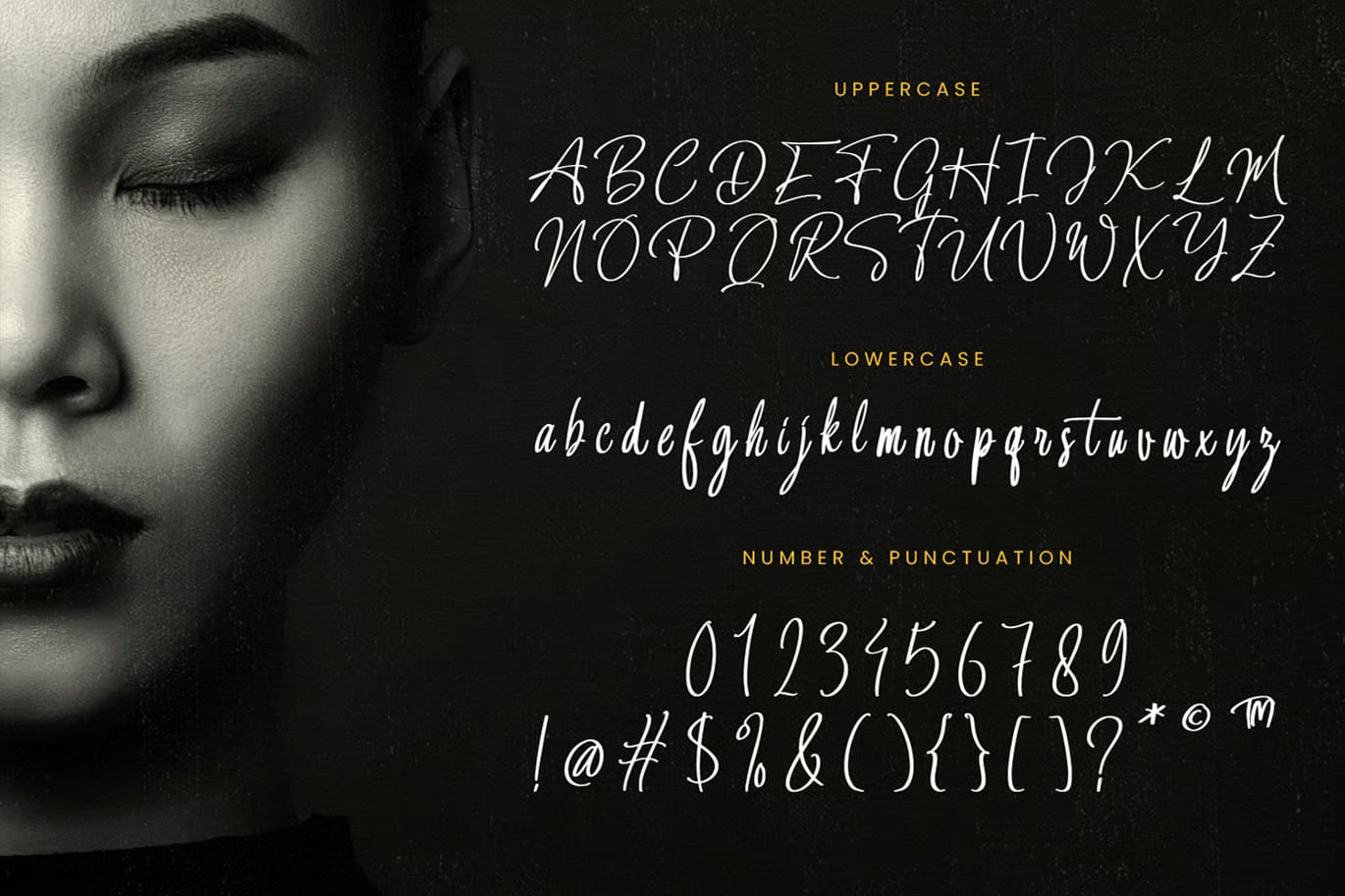 Shouthamton Brother Free Modern Signature Script Font 4