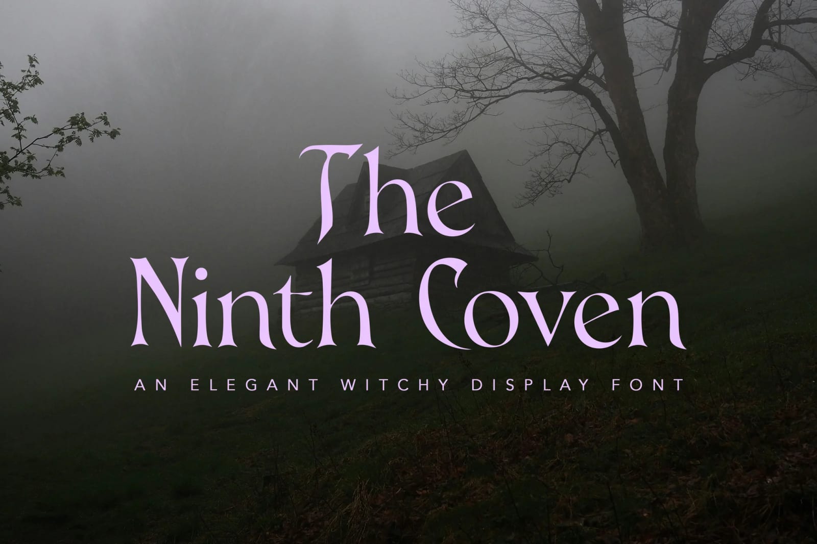 The Ninth Coven Free Font 1