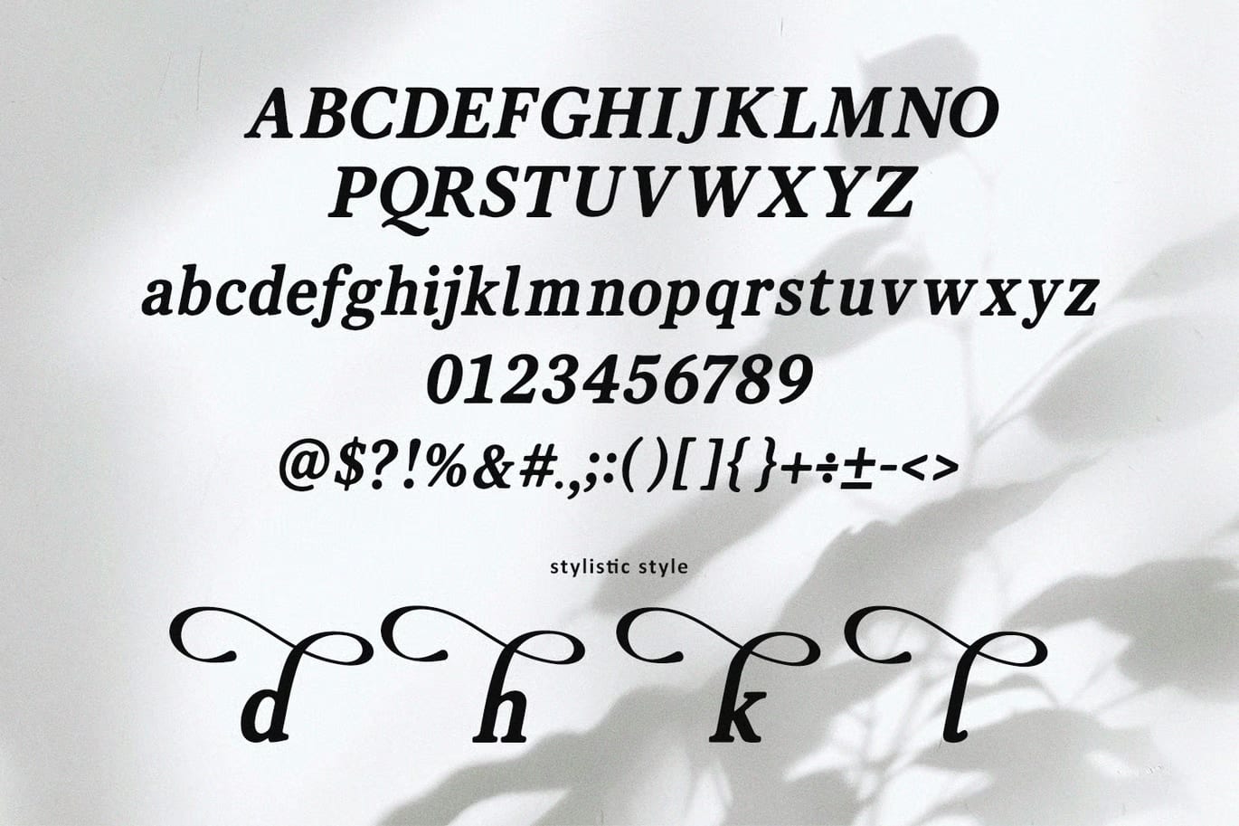 Vanielst Free Serif Display Font 4